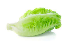 BABY GEM LETTUCE