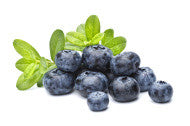 BLUEBERRIES