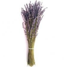 DRIED LAVENDER