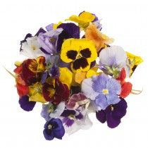 EDIBLE PANSY FLOWERS x 8g