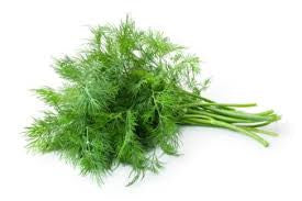 FRESH DILL x 100g