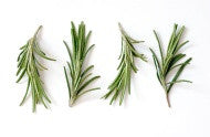 FRESH ROSEMARY x 100g