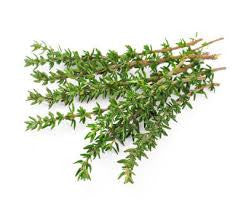 FRESH THYME x 100g