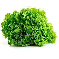 KALE x250g