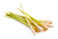 LEMON GRASS