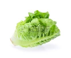 LETTUCE ICEBERG