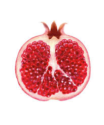 POMEGRANATE