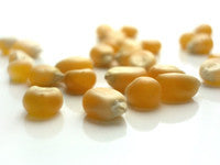 SWEET CORN (6 x3kg)